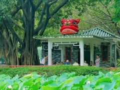-荔湾湖公园