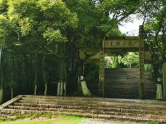-青龙山公园