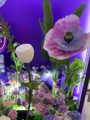 点击看大图 -深圳美莱医疗美容医院