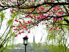 -北山街历史文化街区