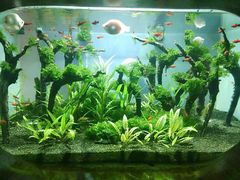 -太平洋海底世界