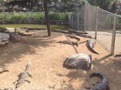 -石家庄市动物园