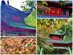 -橘子洲景区