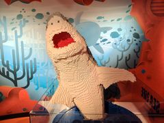 -沈阳海洋探索中心