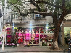 -溪岸路花鸟市场