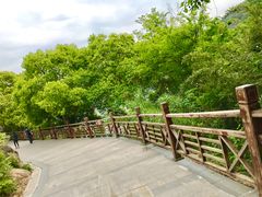 -白马涧龙池景区