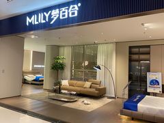 -红星美凯龙(上海沪南店)