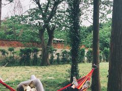 -上海佘山国家森林公园西佘山园