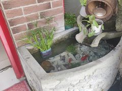 -老鼎万春卤菜(五代传承创始老店)