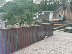 -上海滨江森林公园