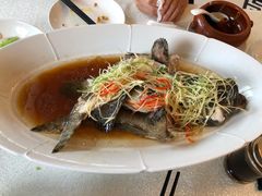 -云腾食府·云南菜