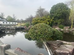 -日出青木