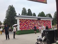 -神州牡丹园