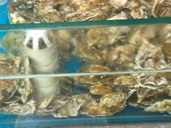 -大锅强·蒸海鲜青岛菜(吾悦广场店)