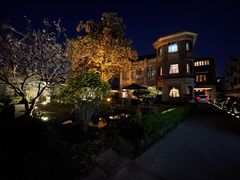 -大可堂普洱茶馆(襄阳南路馆)