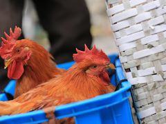 -川沙古镇-停车场