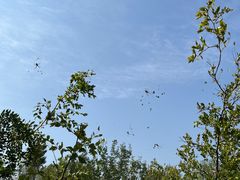 -野鸭湖国家湿地公园