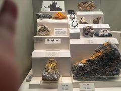 -天津自然博物馆