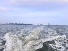 -五缘湾游艇帆船俱乐部