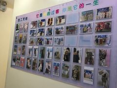 -全心全意连锁动物医院·微创中心·内科急重症·心脏专科(丰管路店)
