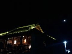-王借岗森林公园