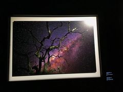 -罗红摄影艺术馆