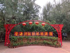 -北海金海湾红树林生态旅游区