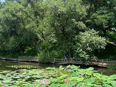 -承德避暑山庄景区