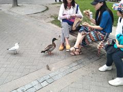 -Patagonia Chocolates(皇后镇店)