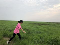 -湖南东洞庭湖国家级自然保护区