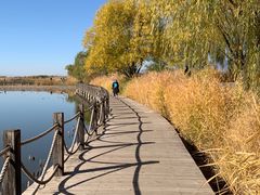 -野鸭湖国家湿地公园