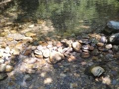-紫云谷景区