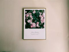 -蜜悦甜品·私人订制生日蛋糕