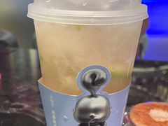 -TD66高山铁皮石斛养生茶饮