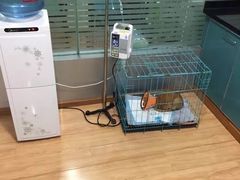 -瑞派宠物医院(锦江店)