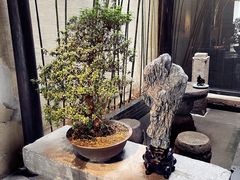 -觀芷隐轩