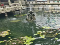-上海醉白池公园