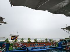 -秦皇岛新澳海底世界