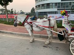 -东戴河风景区-止锚湾