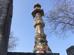 -大槐树寻根祭祖园
