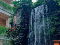 -白天鹅宾馆·流浮阁咖啡厅
