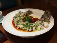 豉油皇鲜花椒蒸桂鱼-觅唐MITONG(鸟巢店)