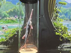-中国湿地博物馆