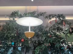 -Aqua Oasis 水天堂(太湖中心mall店)