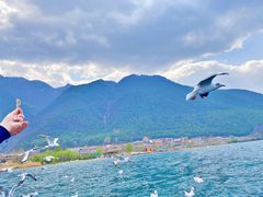 -丽江泸沽湖景区