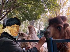 -长白岛森林公园