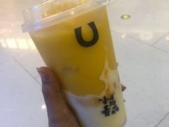 -春丽小马(济南恒隆广场店)