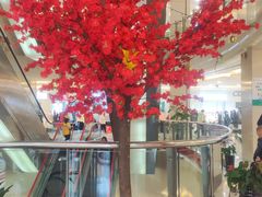 -莲花国际广场