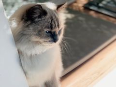 -FULL MOON满月咖啡