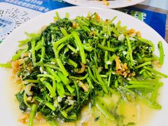 茼蒿炒海蜇-林之六八·6886大连老菜馆